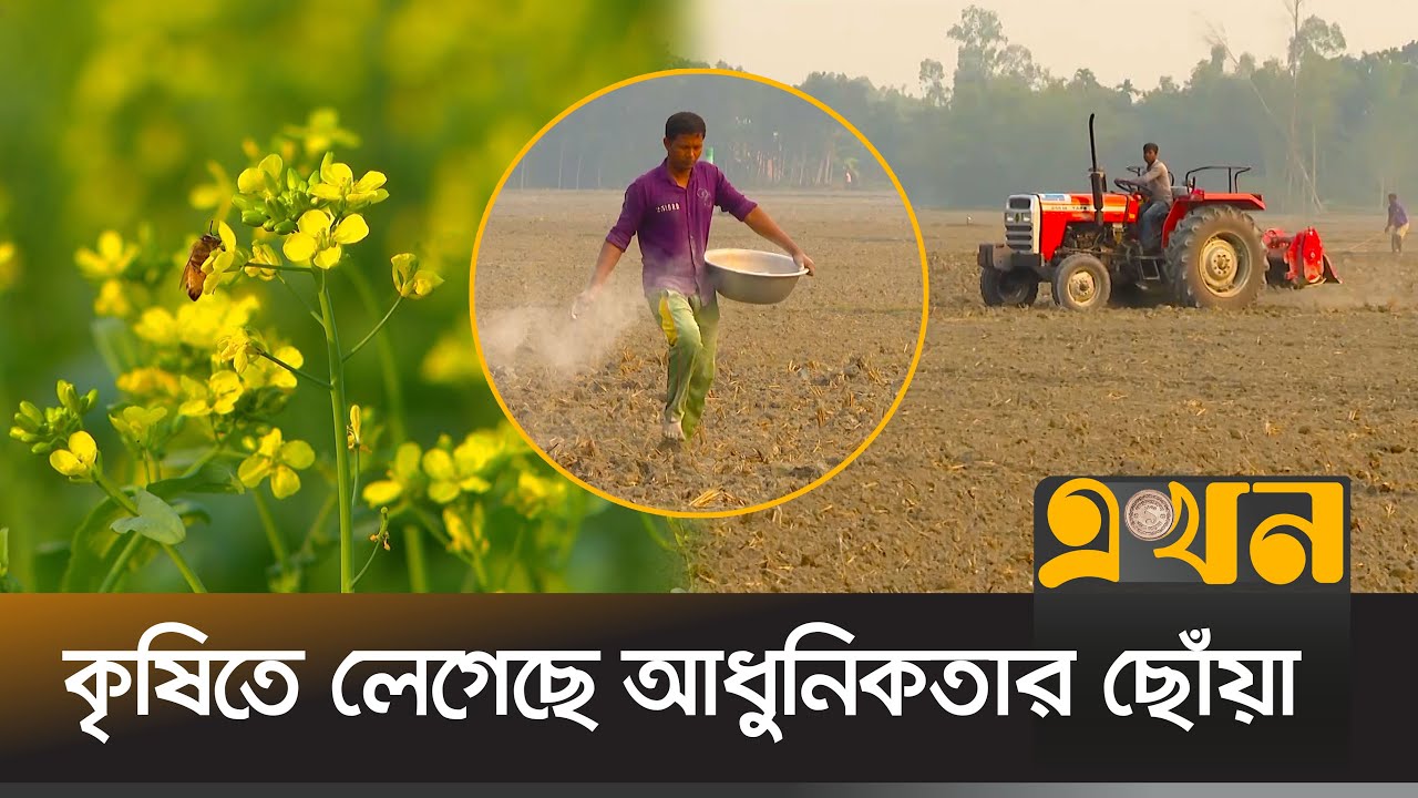 বদলে যাচ্ছে রংপুর-বগুড়ার কৃষকদের ভাগ্য | Agriculture News | Rangpur | Bogra | Ekhon TV