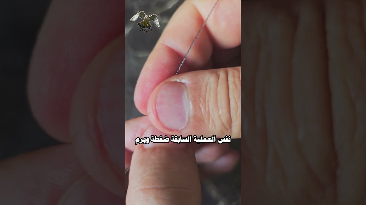 صناعة عين شبك صيد  الصقور و راس العين الشبكه
