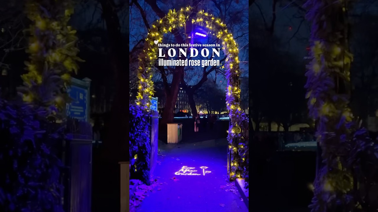 Ever after garden🌹 #shortsfeed #shorts #ytshorts #londonattractions #winterlights #london #rose
