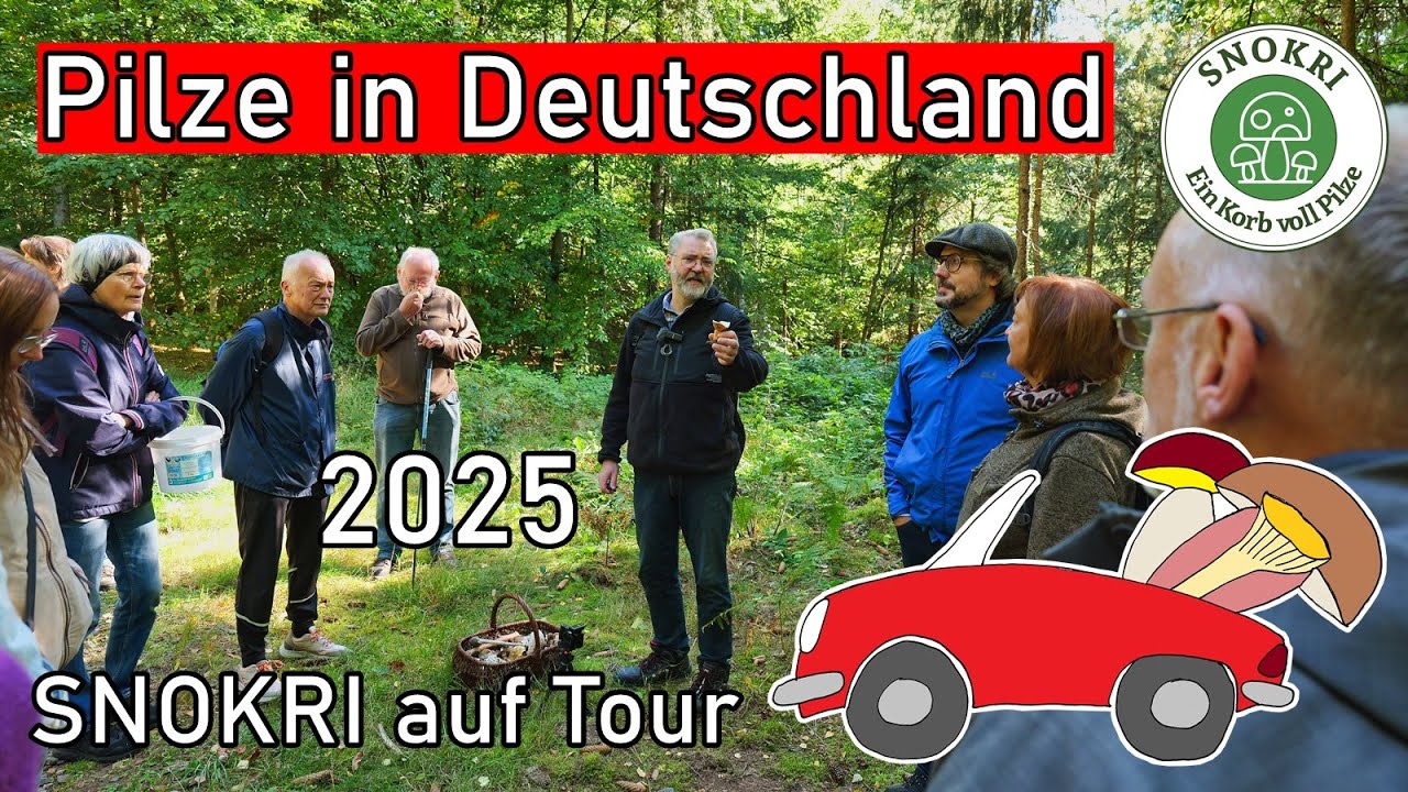 Pilze in Deutschland - SNOKRI auf Tour 2025 - Deutschlandtour 2025