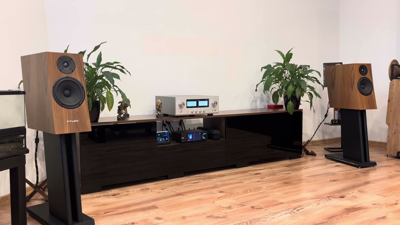 Luxman 505 Z Pylon Jasper 18 Eversolo (2)