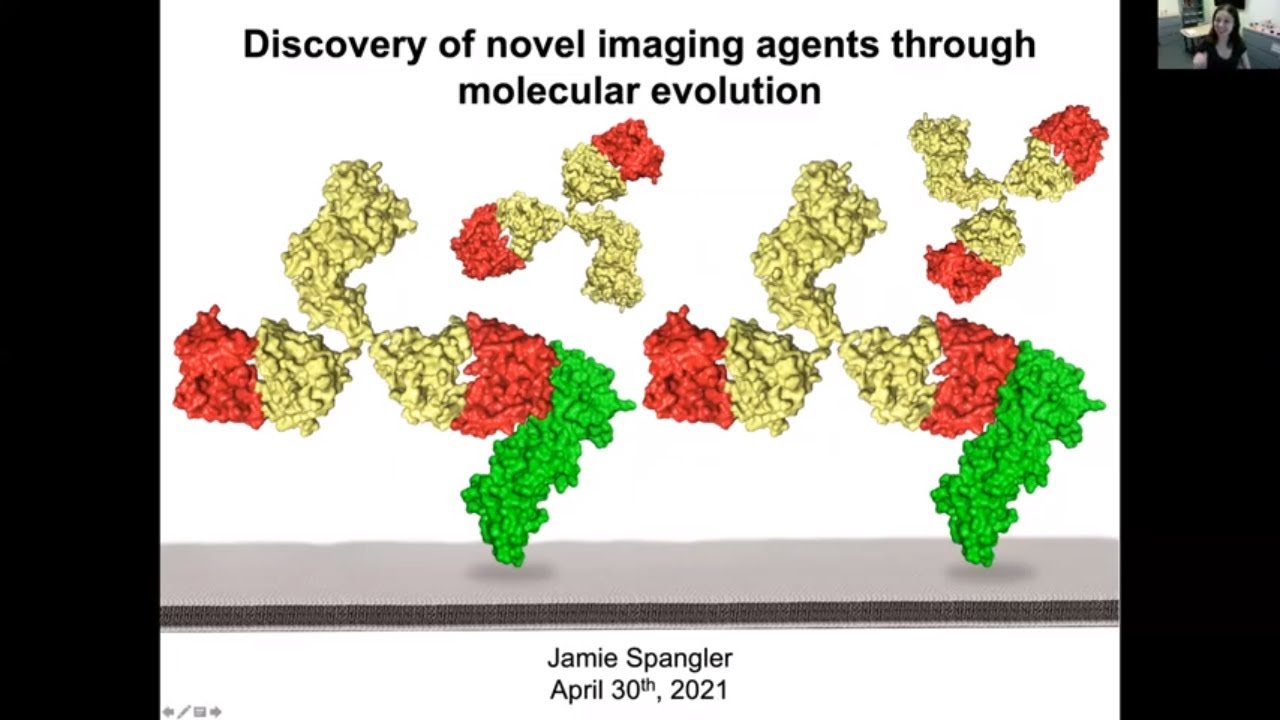 Discovery of Novel Imaging Agents Through Molecular Evolution