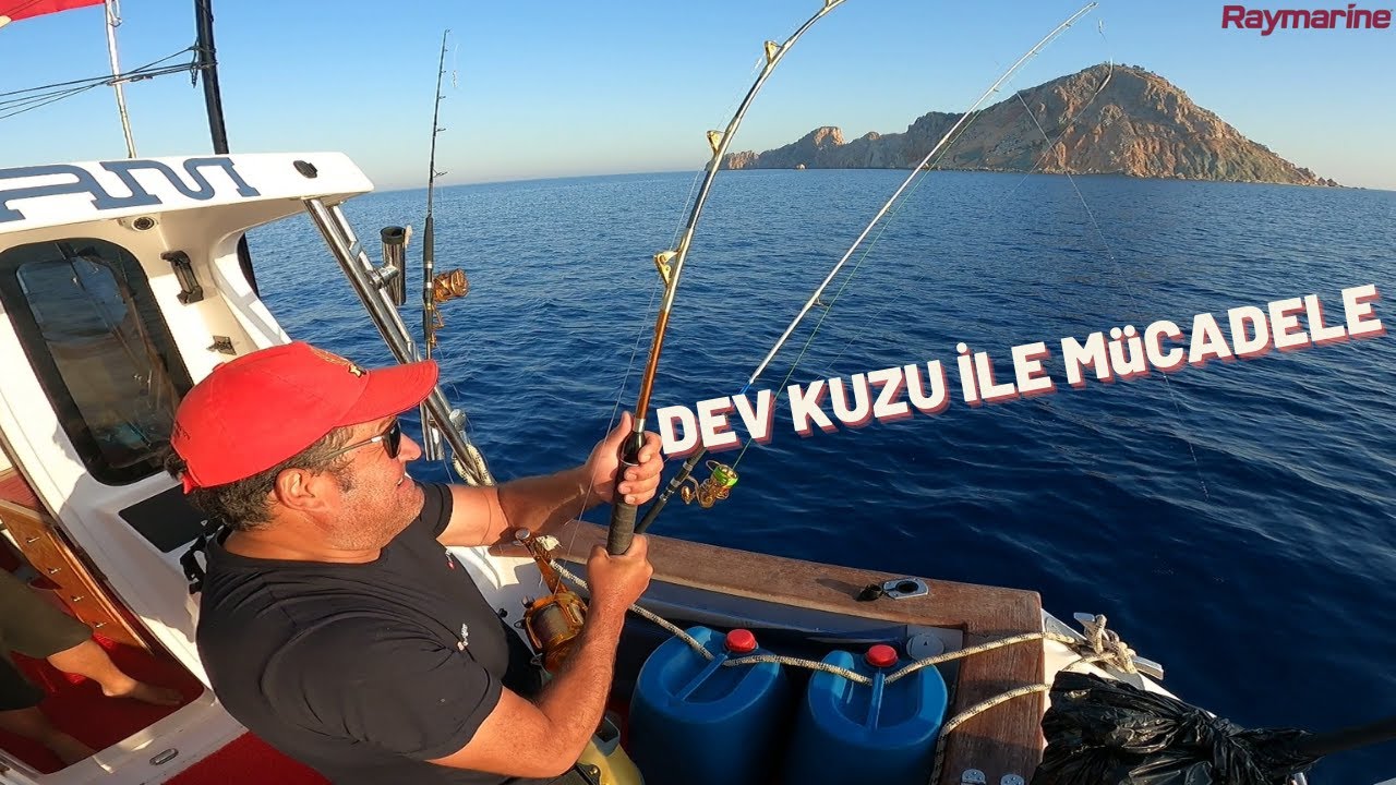 GÖKÇEADA'DAN ANTALYA'YA MACERA DOLU YOLCULUĞUMUZ I DEV KUZU ( SARI KUYRUK ) İLE MÜCADELE I BÖLÜM 2