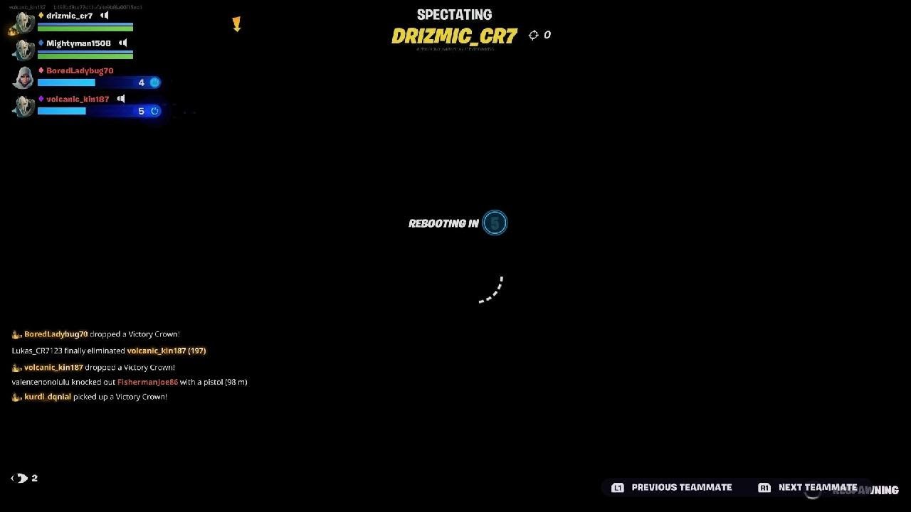 Fortnite_20250530160017
