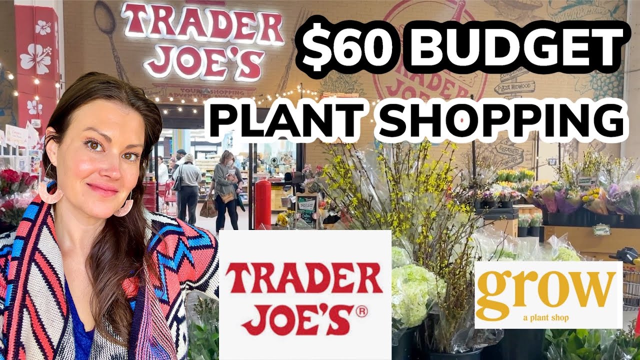 $60 Budget Plant Shopping at Trader Joe's & GROW - Plant Shop With Me & Plant Haul in Charlotte, NC