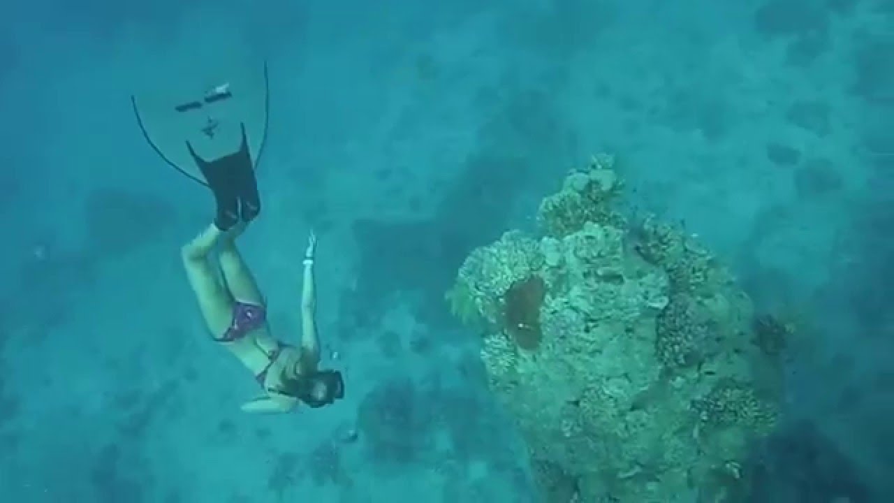 Freediving Best Moments 2014 15