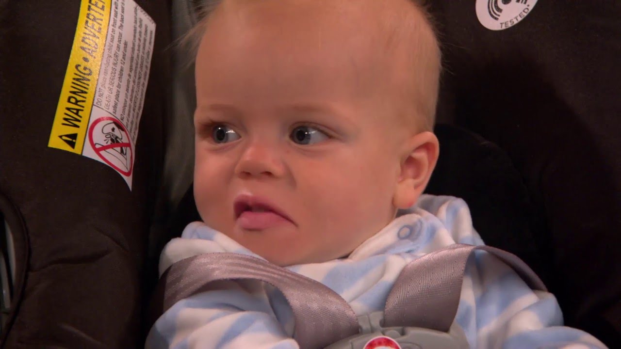 I Didn't Do It | Coole nieuwe gast | Disney Channel NL