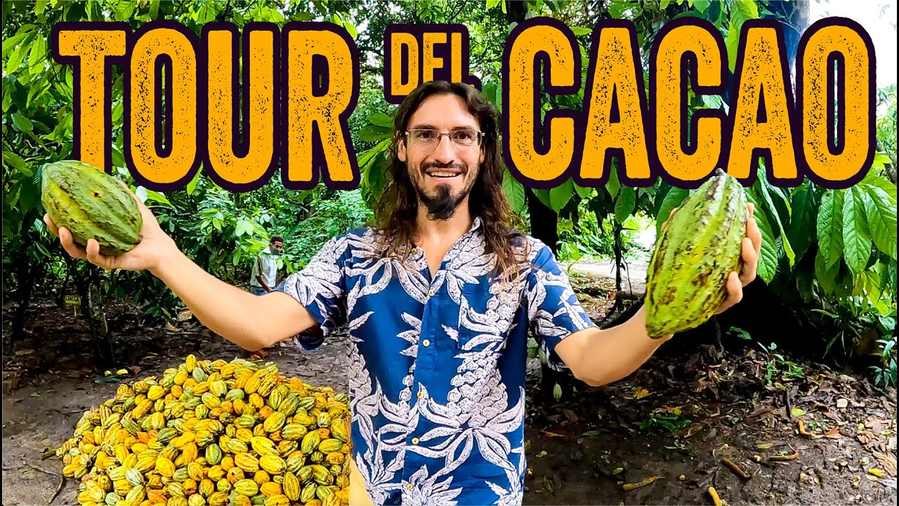 El MEJOR CHOCOLATE DE MÉXICO 🇲🇽 ¡está aquí! 🤩 TOUR DEL CACAO | T5-E4
