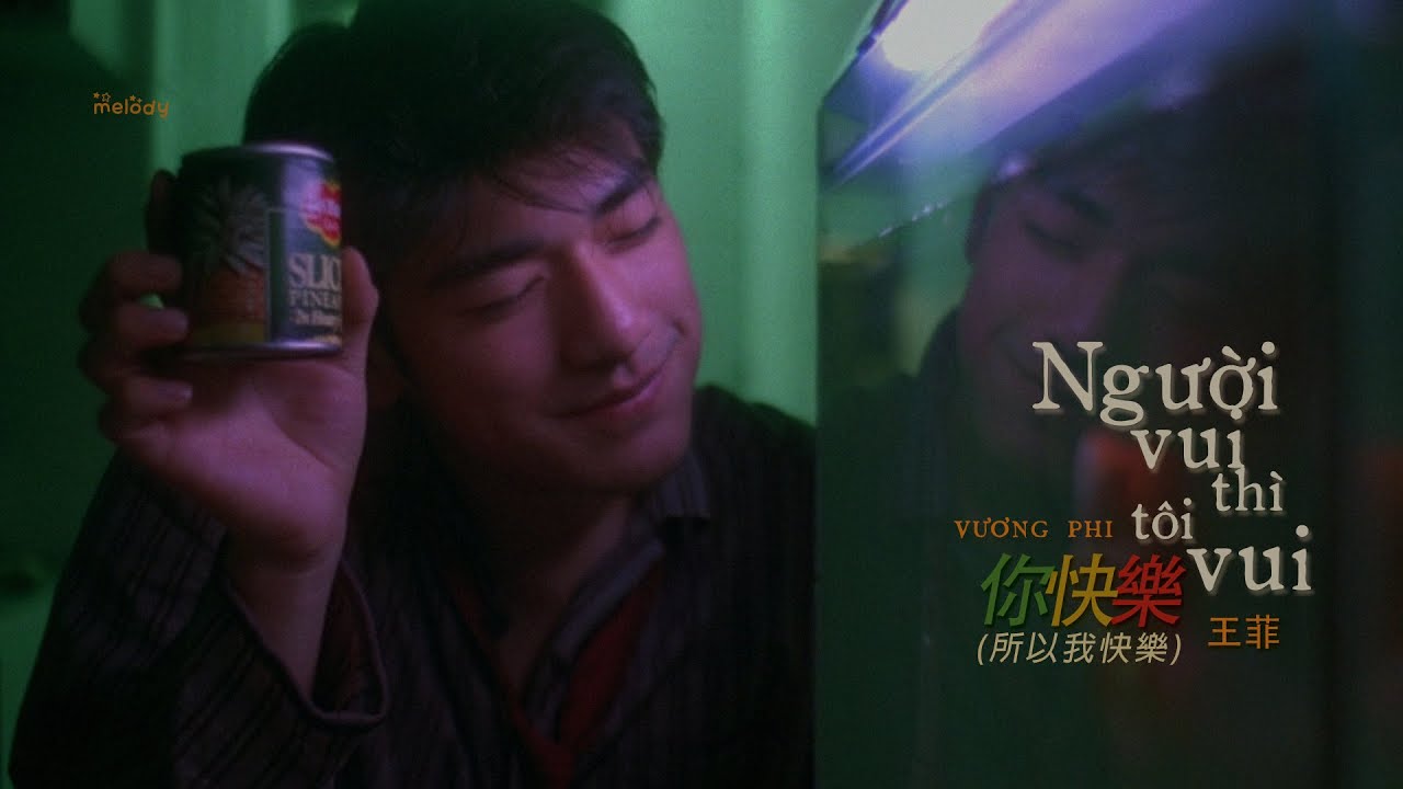 [Vietsub + Lyrics] Người Vui Thì Tôi Vui 你快樂(所以我快樂) - Vương Phi | 王菲 | Faye Wong