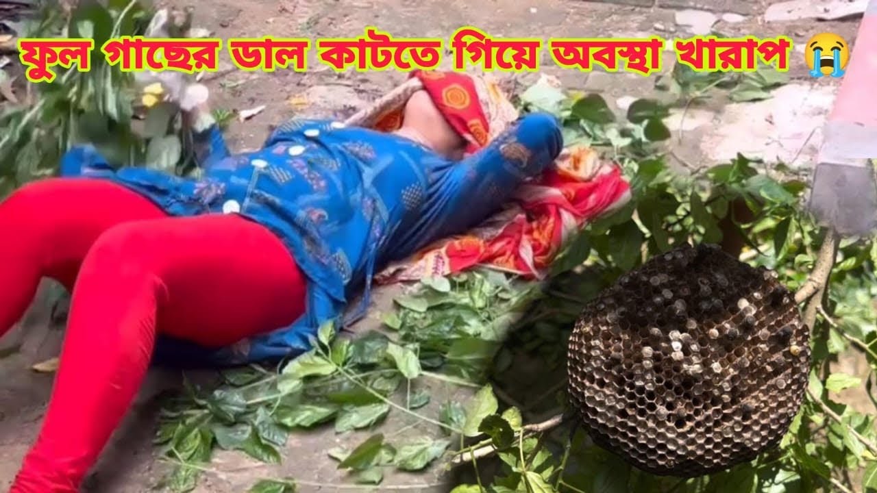 ফুল গাছের ডাল কাটতে গিয়ে অবস্থা খারাপ হয়ে গেল 😱 || Suman Arpita Vlogs