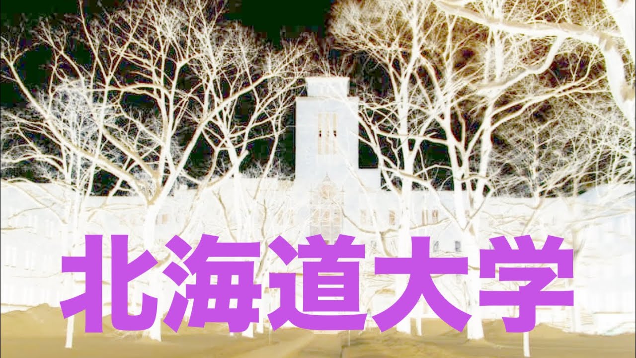 北大のお話等
