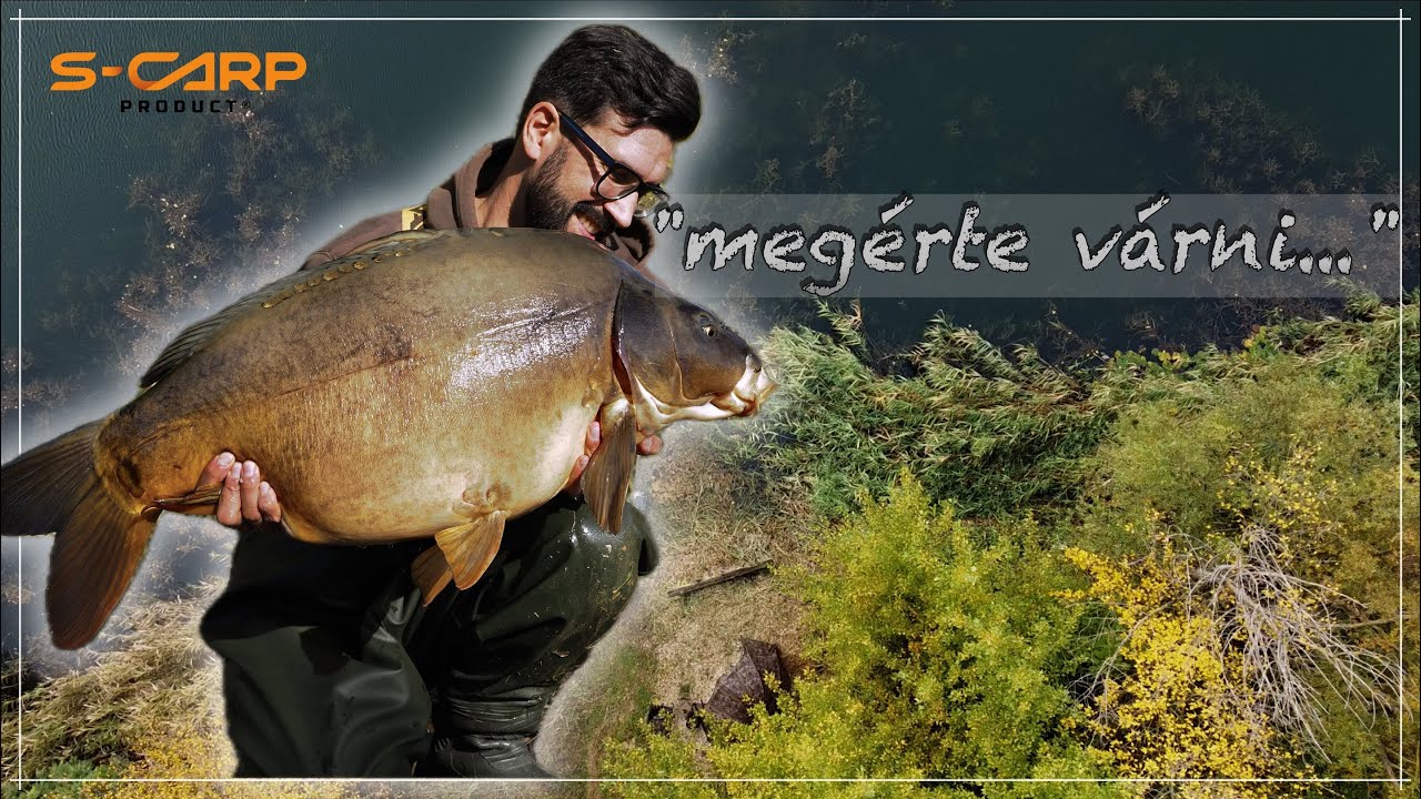 Meg&eacute;rte v&aacute;rni