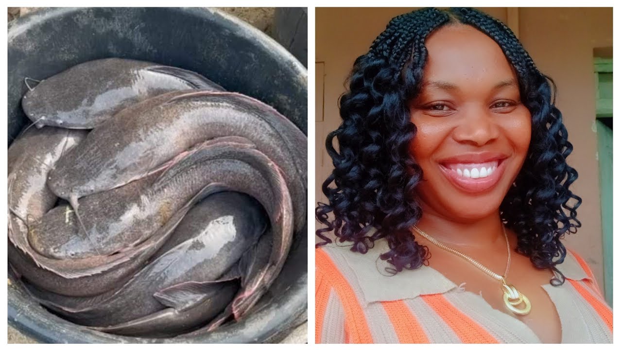This CATFISH BUSINESS can change your income & pay you cool Cash!!!