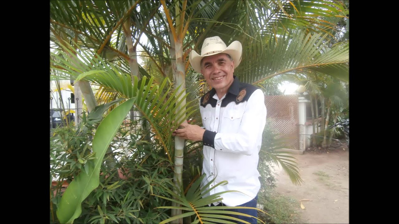 PALO DE COCO (Vicente el Ocurrente)