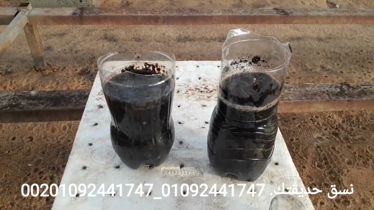 ينفع ارش الهيوميك اسيد على النجيل