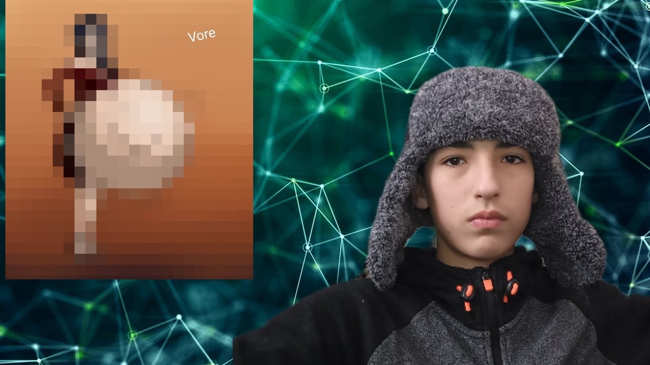 объясняю что такое vore и зачем его создали