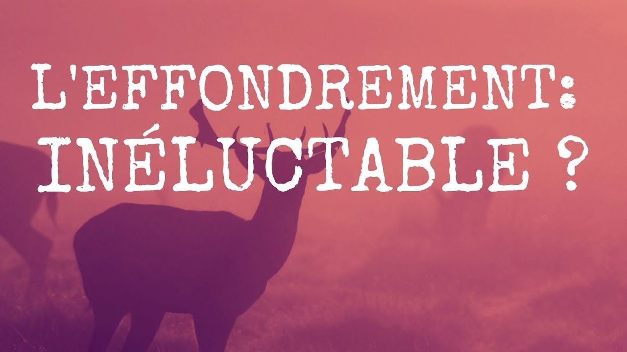 L'effondrement : inéluctable ? par Vincent Mignerot