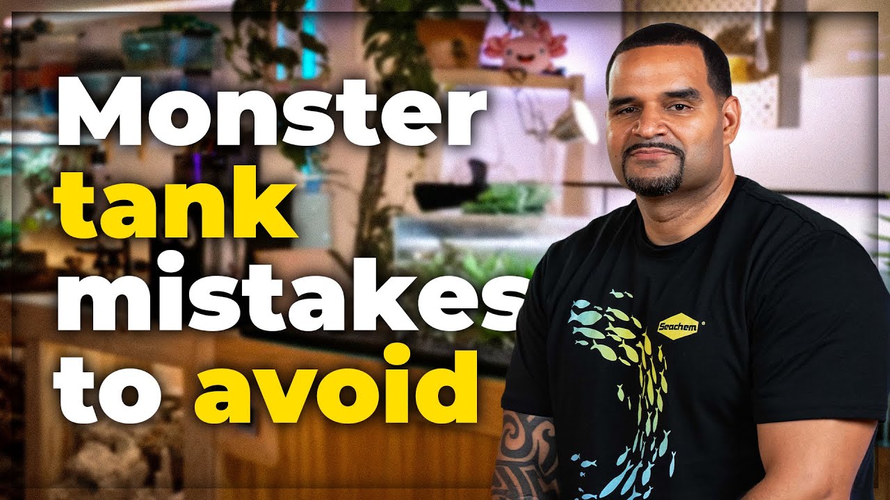 5 Things I Wish I Knew Before Keeping Monster Fish | With Kaveman Aquatics