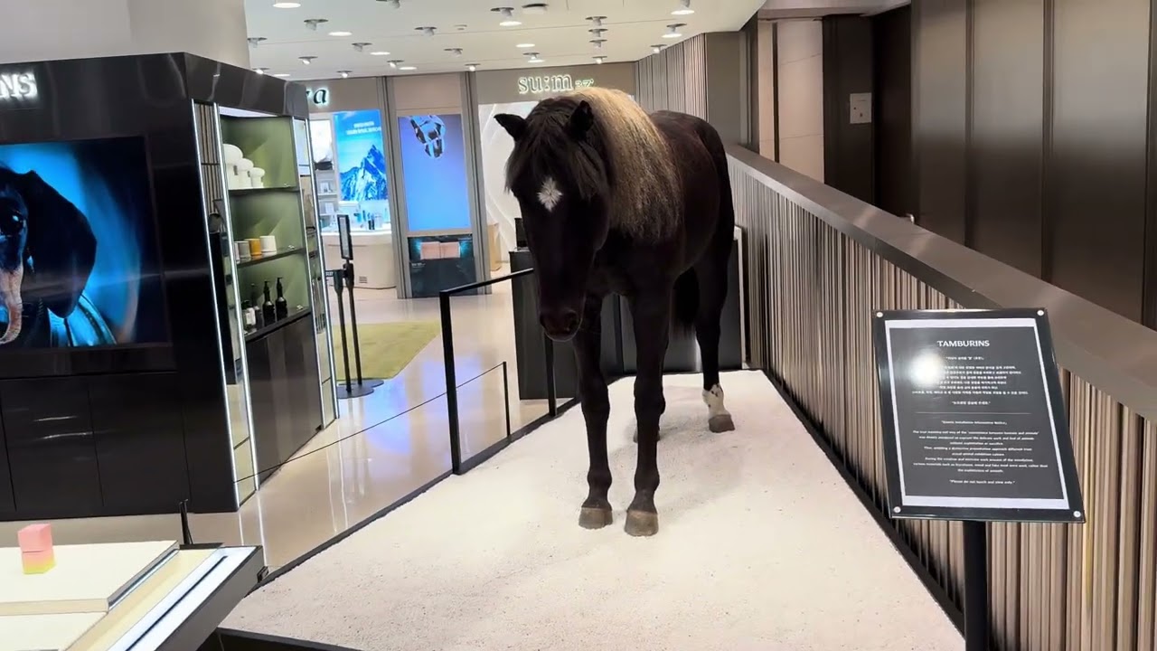 S3J18 Lotte luxury horse