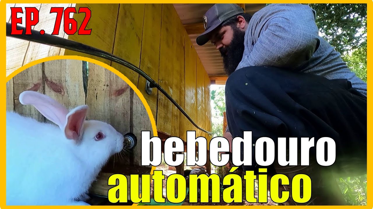 instalando bebedouro automático na casa dos coelhos