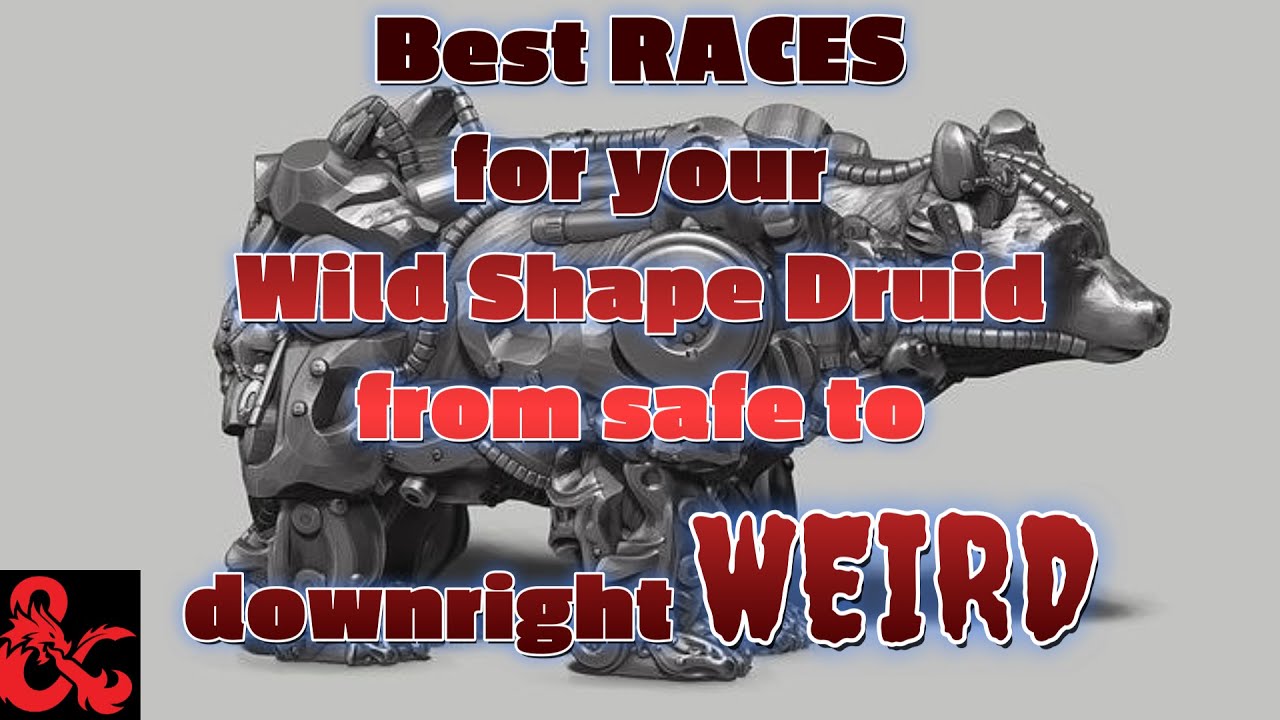 The Best Races for your Wild Shaped Druid: D&D 5e