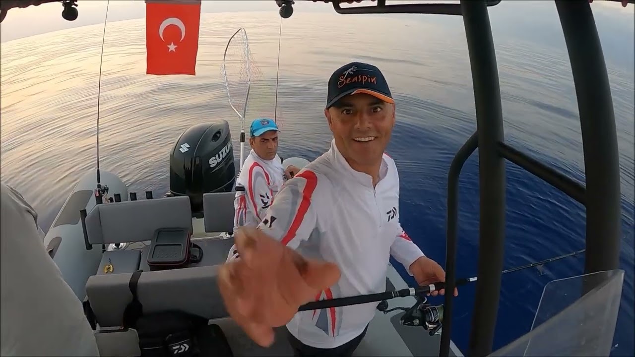 SARI KUYRUK AVI