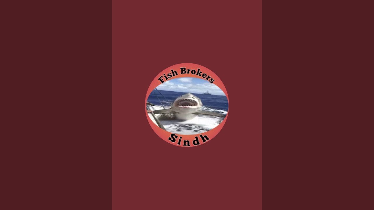 Fish Brokers Sindh is live!