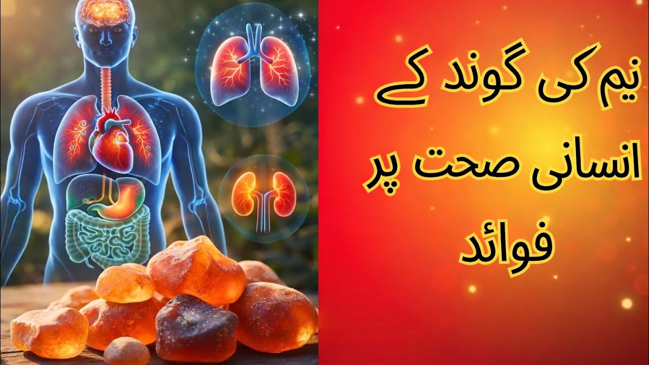 صرف 1 چمچ نیم کی گوند! شوگر، کولیسٹرول اور دل کی بیماری ختم؟ 😱 | Neem Gum Benefits