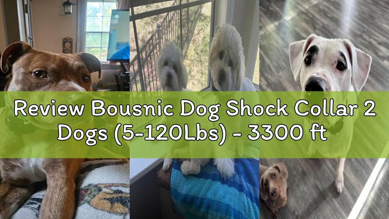 Review Bousnic Dog Shock Collar 2 Dogs (5-120Lbs) - 3300 ft Waterproof Training Collar for Dogs Larg