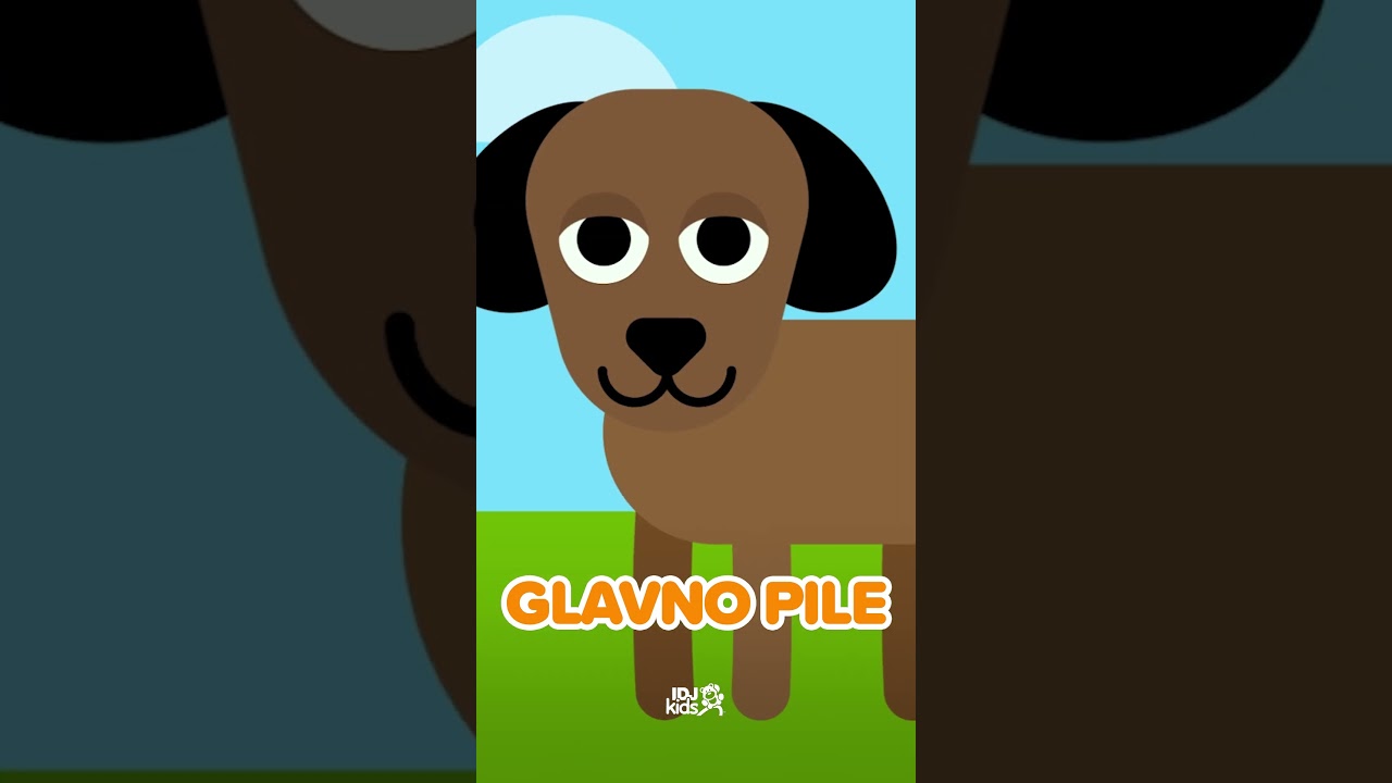 GLAVNO PILE // NOVA @IDJKids PESMICA!  @RankoDamjanovic #pesmicezadecu