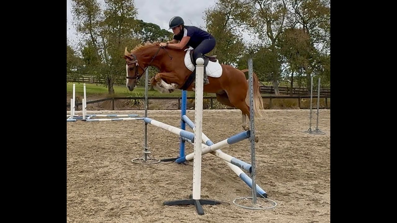 Apollo jump schooling