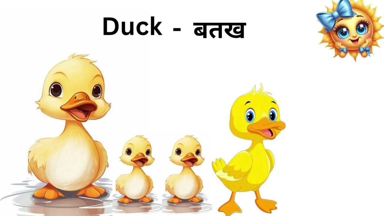 Birds Name in Hindi and English with Pictures | पक्षियों के नाम हिंदी और इंग्लिश में | Kids Learning