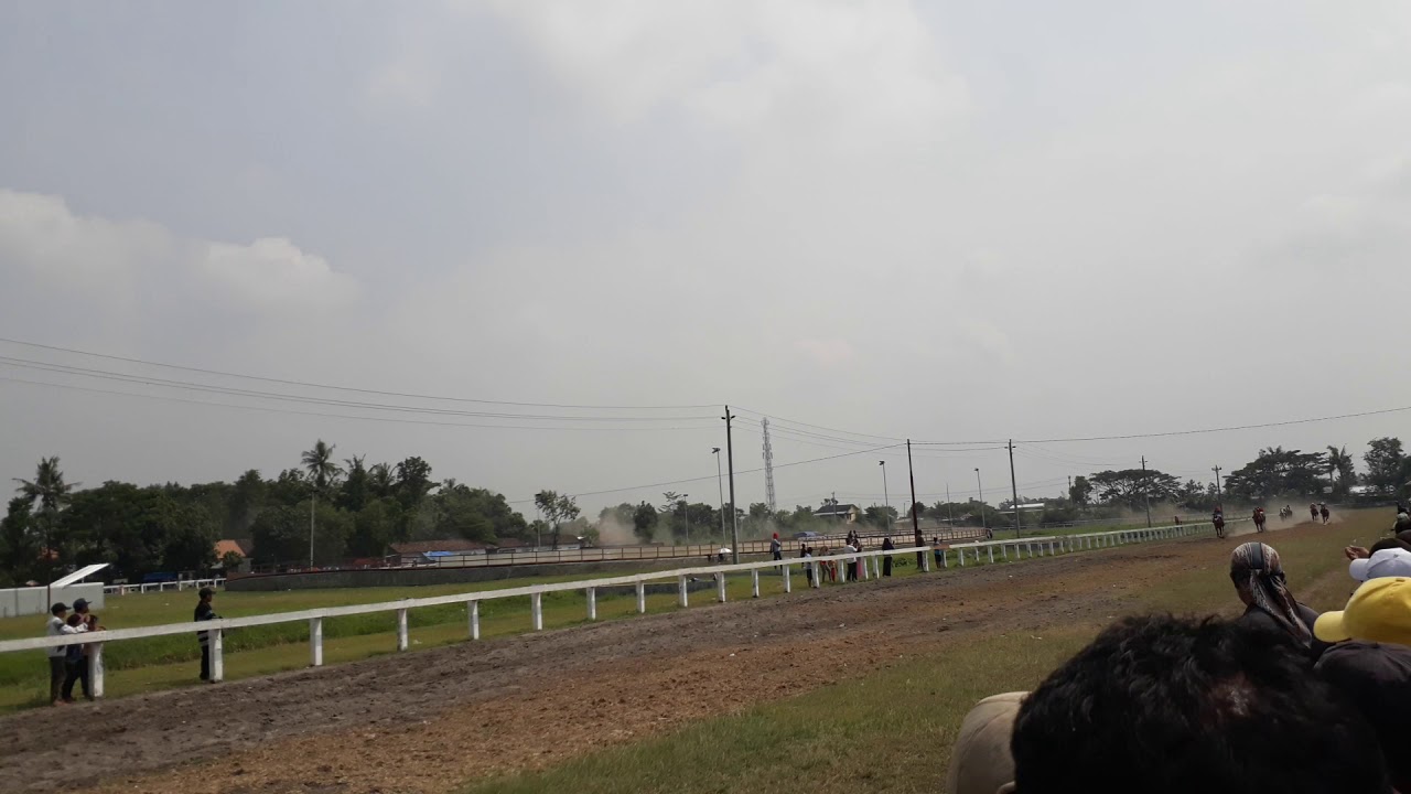 Balapan jaran 🐎