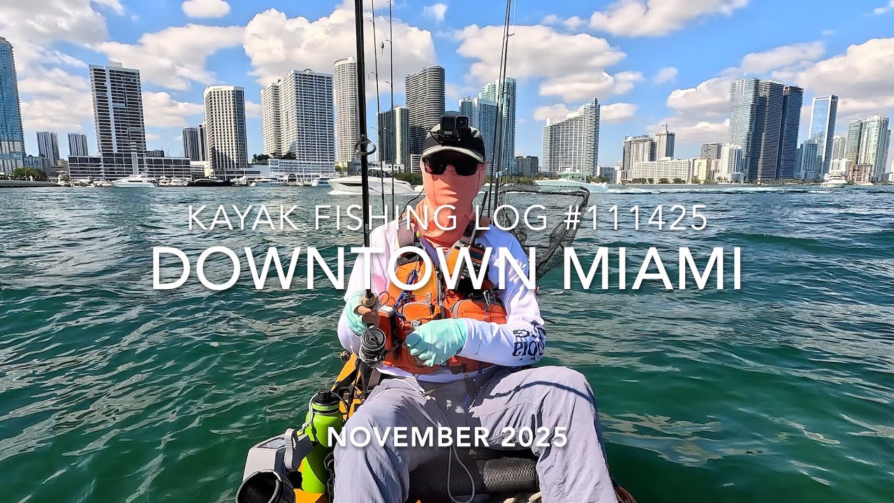 Kayak Fishing in Downtown Miami Biscayne Bay - Launching from 79th St. Pelican Harbor Ramp 佛州迈阿密钓鱼