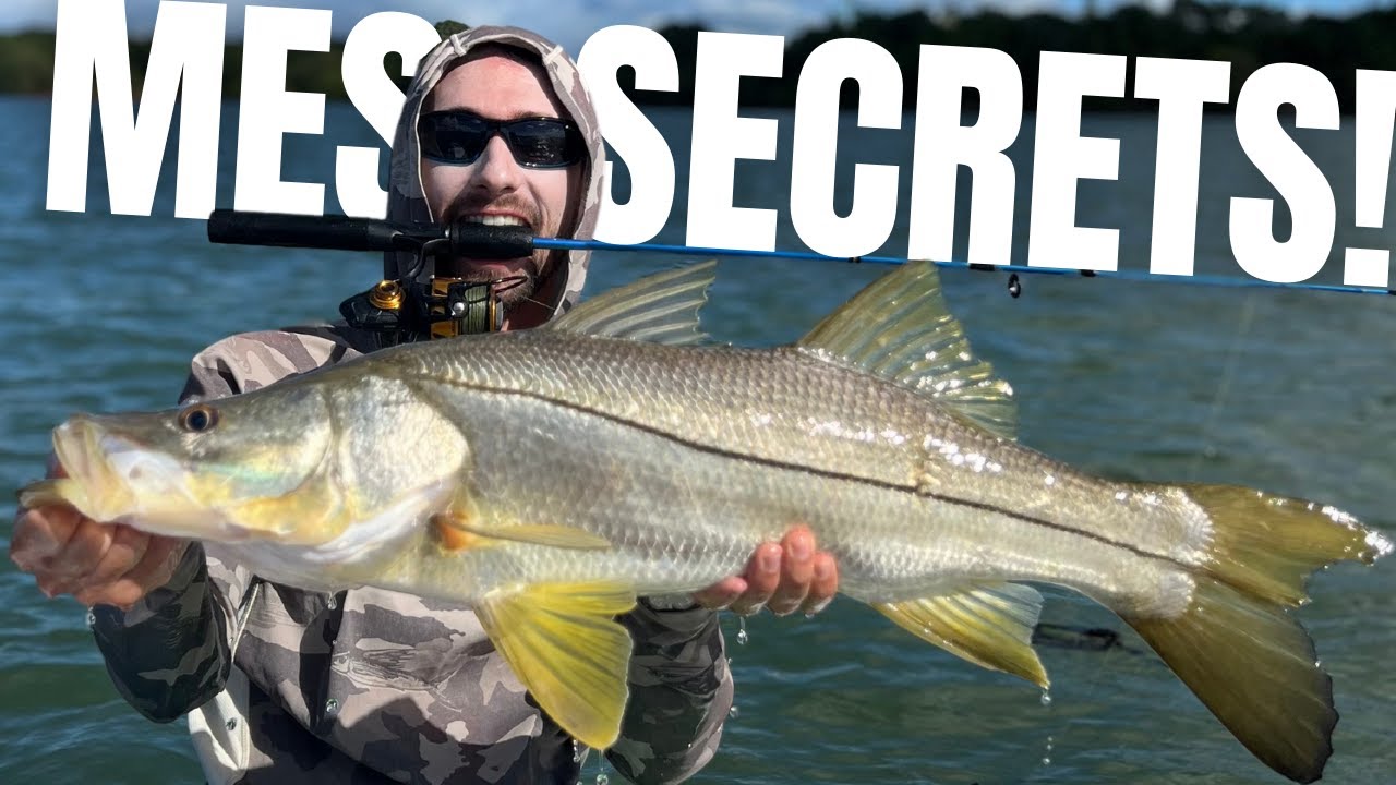 5 astuces à connaitre avant de pêcher le SNOOK!