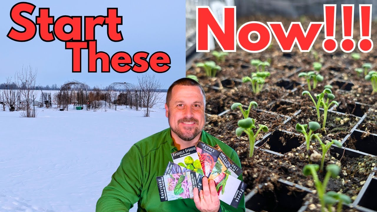 Zone 6b Gardeners: Start These Seeds in February! 🌶️
