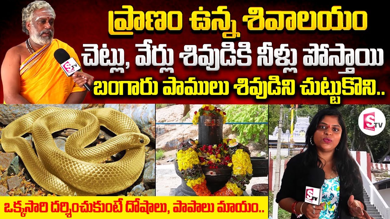 ప్రాణం ఉన్న శివాలయం || Jeevakona Jeeva lingeshwara Temple in Tirupati | Mysterious Temples in India