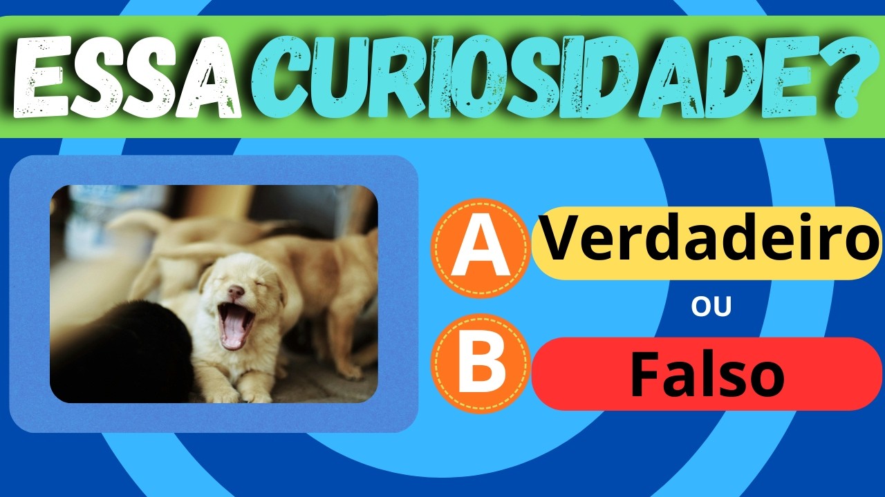 Verdadeiro ou Falso: Cachorros 🐶❓ | Você Sabe Tudo Sobre Cães? - desafio quiz D +
