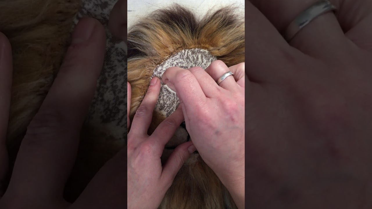 How to Needle Felt a 2D Lion using the Fuzzywuzzie Kit