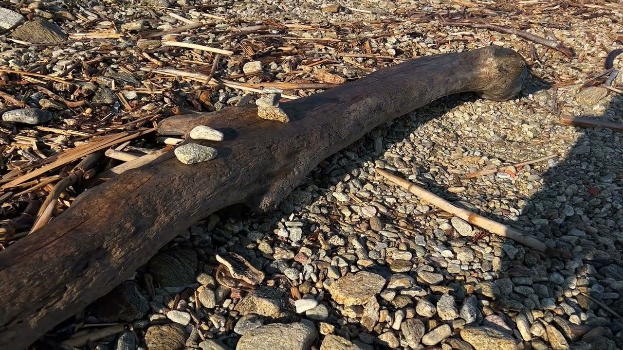 NIKON D300s in 2025/ still good?