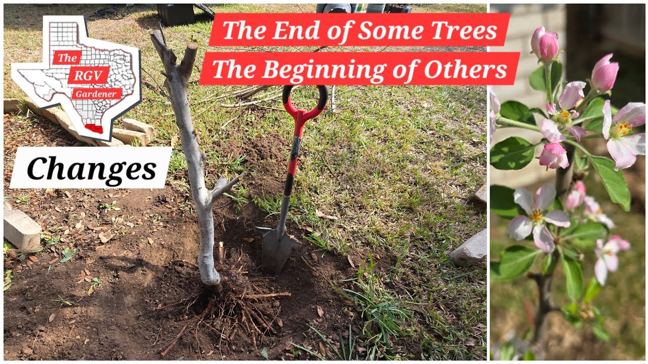 Changes in the Garden ♥️ || The RGV Gardener 