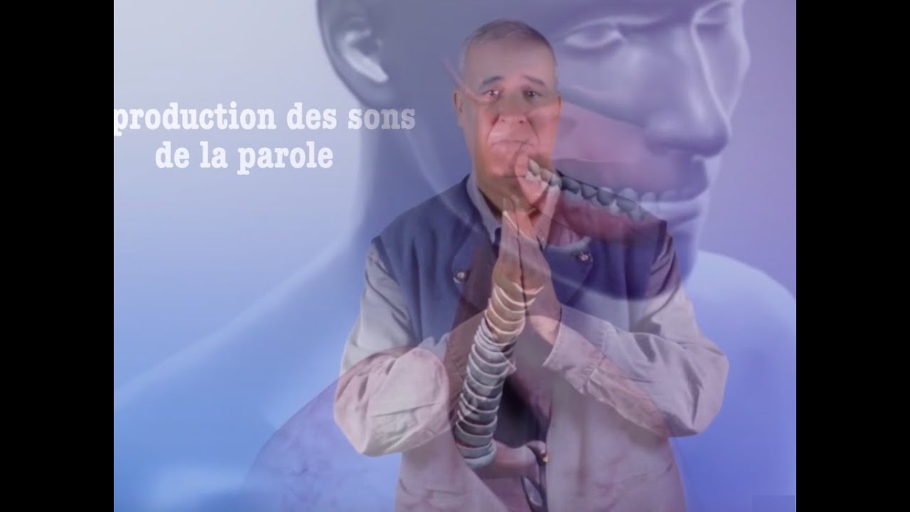 LA PRODUCTION DES SONS DE LA PAROLE