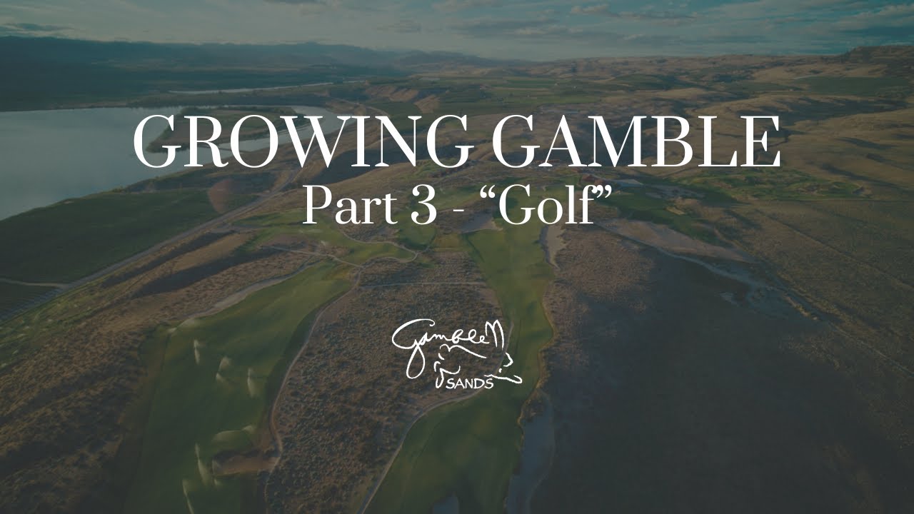 Growing Gamble - Part 3 