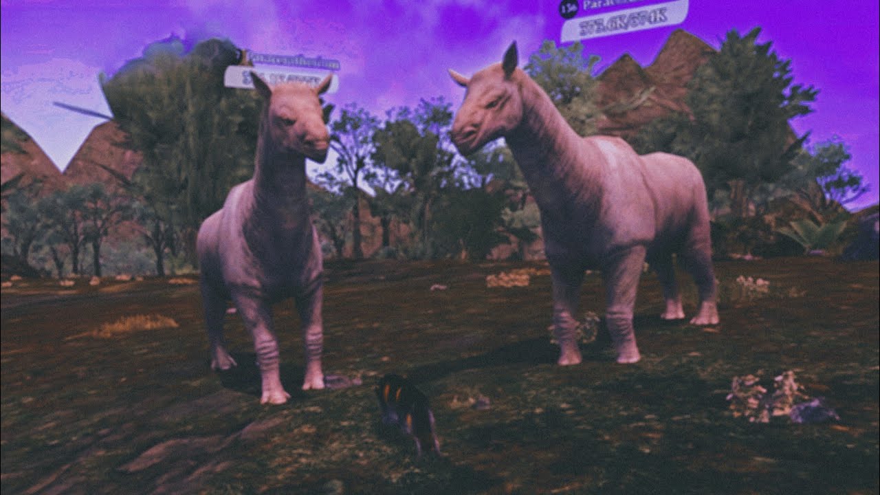 The Wolf - Paraceratherium Are Such Huge Monsters In Featured Tropical Forest 🏆