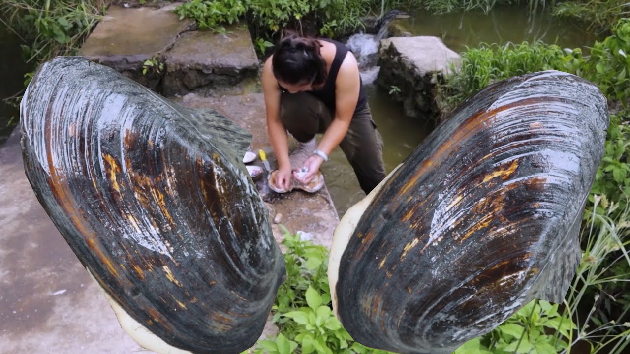 Reward for Exploring Nature: Reward for Obtaining Precious Pearls in Wild Treasure Hunting