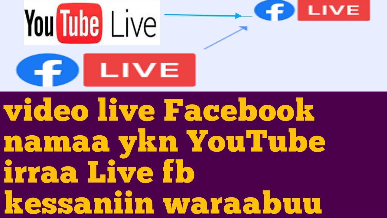 video live Fb namaa ykn YouTube irraa Live fb kessaniin dabarsitan