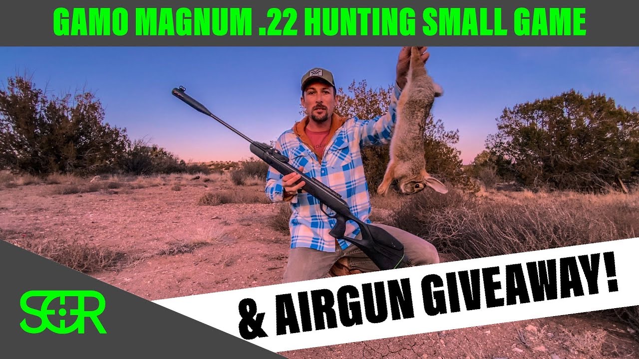 Gamo Magnum Swarm HUNTING & GAMO AIRGUN GIVEAWAY!