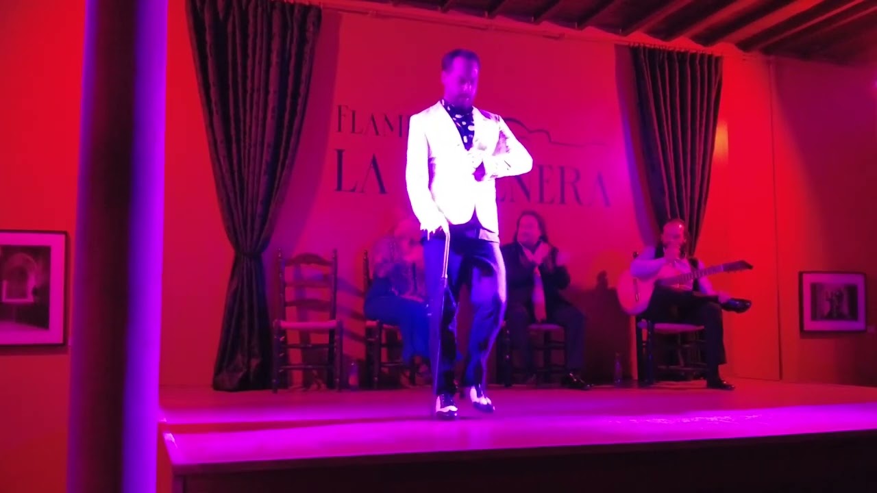 Israel Moreno baile con bast&oacute;n || Tablao Flamenco La Petenera. Granada