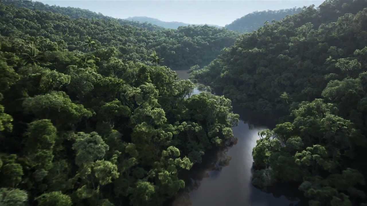Floresta Tropical