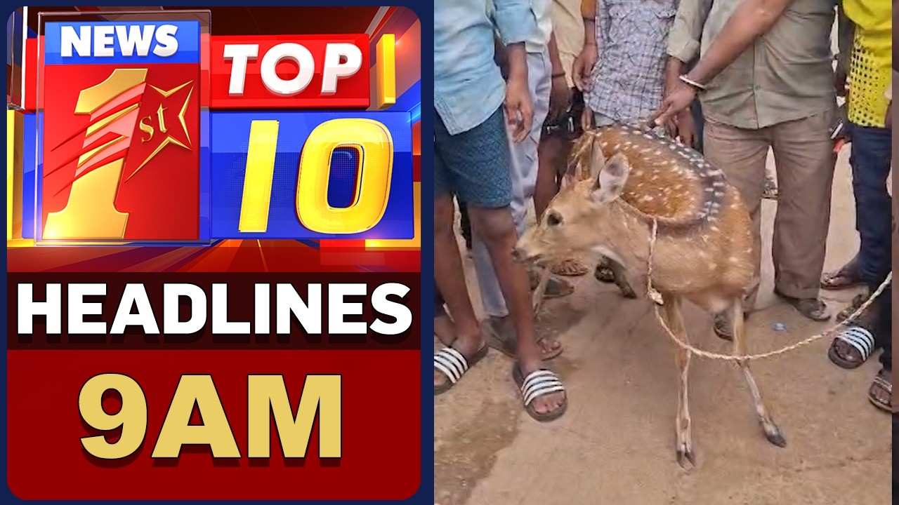 ಈ ಕ್ಷಣದ ಟಾಪ್​ 10​ ಸುದ್ದಿಗಳು | TOP 10 Headlines | @newsfirstkannada
